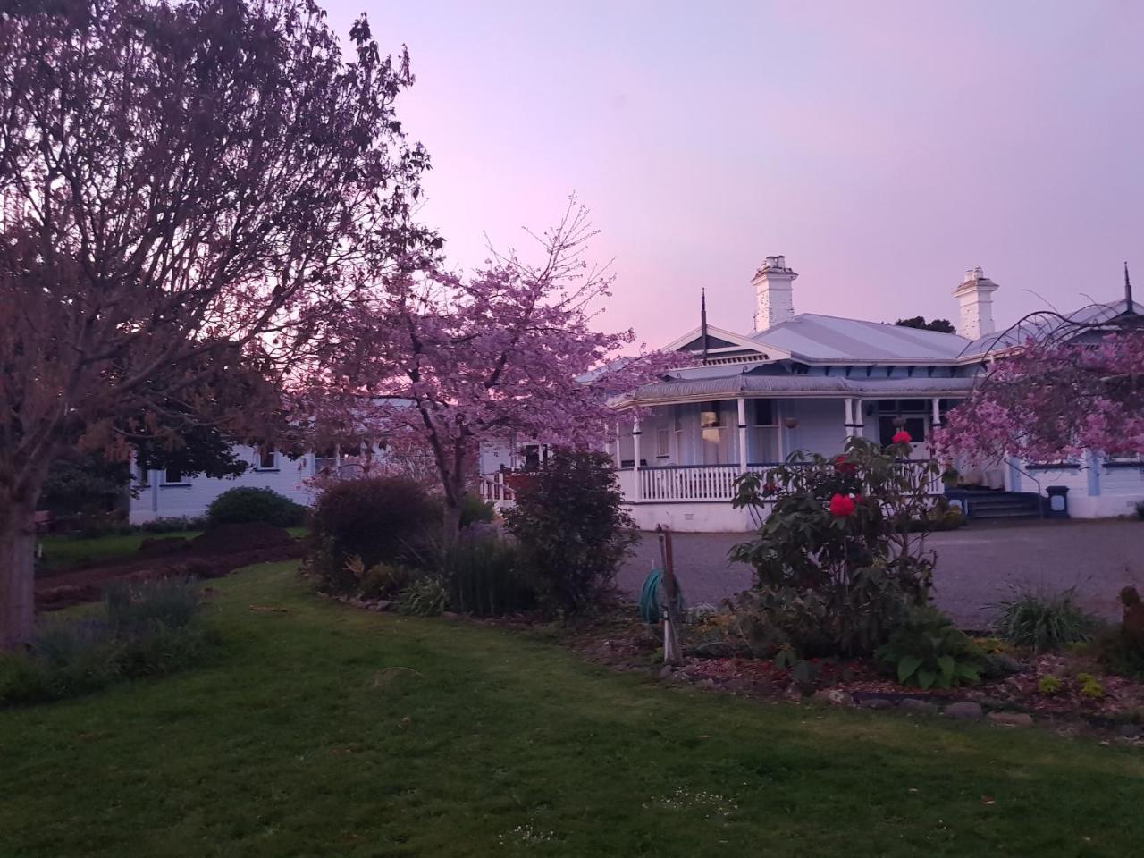 Lancewood Lodge Bulls Exterior photo